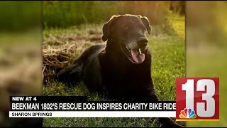 Beekman 1802s rescue dog inspires charity bike ride [upl. by Elyrehc]