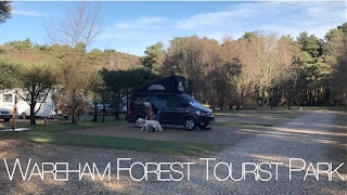 OUR FIRST FILM Wareham Forest Tourist Park  VW California T6 [upl. by Star]