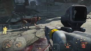 fallout4  Dogmeat going for a walk around the block as you do [upl. by Ixela]