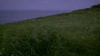 Rain amp Wind Sounds for Sleep amp Relaxation w Distant Thunder amp Ocean Waves  Relaxing White Noise [upl. by Coheman730]