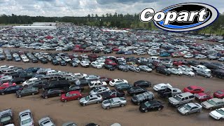 Come Watch The Copart Auto Auction Live On 122023 [upl. by Iah]