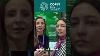 COP29  Ana Luci Grizzi  Meio Ambiente com Renata Franco [upl. by Wie]