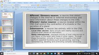 3 types of neuron Sensory motor interneuron  urduhindi lec [upl. by Ringo]