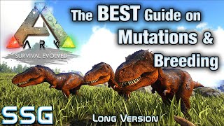 ARK SURVIVAL The Best Guide on Breeding Stat Mutations SeeShellGaming [upl. by Laurie]