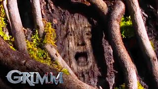 Grimm Finds The Monster Tree  Grimm [upl. by Naved]