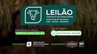 🐮224º Leilão Online  Sindicato Rural de Patos de Minas  19112024 [upl. by Aina432]