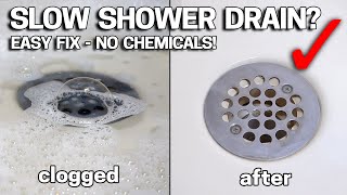 DONT LIVE with SLOW DRAINS  Make Your Shower Drain like New In 2 Minutes [upl. by Adnamal]