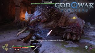 LES PLAINES TREMBLANTES  CHASSE AU DRAGON  Services LES DOLINES Vanaheim  GOD OF WAR RAGNAROK [upl. by Gomer]