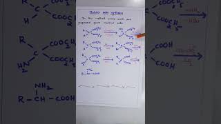 Malonic ester synthesis of Amino acids ORGANIC CHEMISTRY BSc SECOND YEAR SEMESTER IV [upl. by Kciregor344]