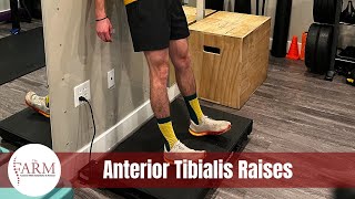 Anterior Tibialis Raises [upl. by Nrol]