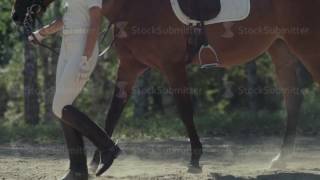 Beautiful girl riding a horse in countryside The suit rider [upl. by Atiniuq150]