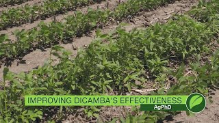 Dicamba Effectiveness 1009 Air Date 8617 [upl. by Elden]