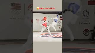 The Most INSANE Taekwondo Knockouts Ever [upl. by Crowns]