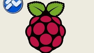 Raspberry Pi Camera [upl. by Urial]