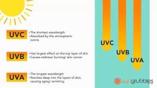 UVA vs UVB Sun Protection Guide uva uvb [upl. by Latonia]