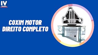 DUCATO  COXIM MOTOR DIREITO COMPLETO  53430910 IVECODAILY [upl. by Anohr]