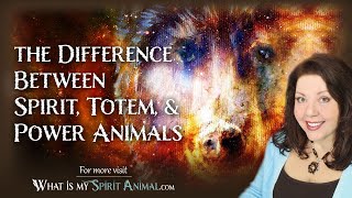 Spirit Animals Explained  The Difference Between Spirit Totem amp Power Animals [upl. by Codd]