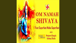 Om Namah Shivaya 1008 Times in 11 Minutes [upl. by Einnaffit451]