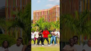 Sekoma By Chris Eazy Dance Challenge🔥🔥 Titi Brown [upl. by Eedyaj250]