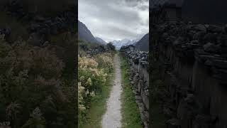 Walk in Langtang Village mountains langtang [upl. by Cornia]