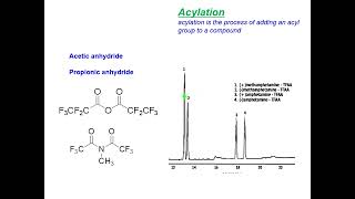Derivatization Techniques [upl. by Brunell475]