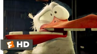 Storks 2016  Birds Cant See Glass Scene 710  Movieclips [upl. by Htebarual478]