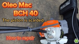 Oleomac BCH 40 piston problemhow to fix brushcutter [upl. by Tnarud]