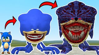 NEW EVOLUTION OF ZOOCHOSIS THE SONIC TAPES in Garrys Mod [upl. by Wadsworth]