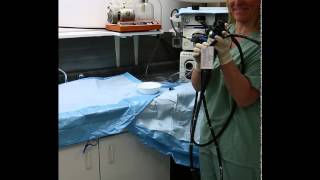 Flexible Endoscope Reprocessing  Precleaning [upl. by Attenwahs]