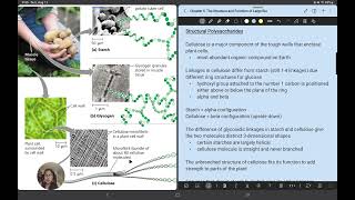 Campbell Biology Chapter 5 Concept 52 [upl. by Attehcnoc]