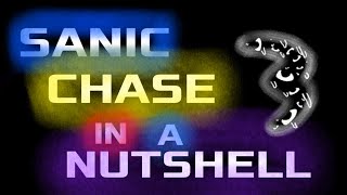 ⚡️SANIC CHASE IN A NUTSHELL 3⚡️  Title Sequence [upl. by Neened743]