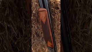 FUSIL DE CHASSE  محبوبة القناصة [upl. by Saile]