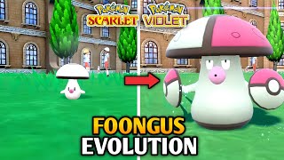 How To Evolve Foongus Into Amoonguss In Pokemon Scarlet And Violet  Paldea Pokedex [upl. by Willdon]