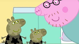 Peppa Pig in Hindi  Muddy Puddles  हिंदी Kahaniya  Hindi Cartoons for Kids [upl. by Gael]