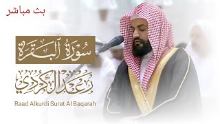 سورة البقرة كاملة الشيخ رعد محمد الكردي full surah Al Baqara Raad al Kurdi [upl. by Terence72]