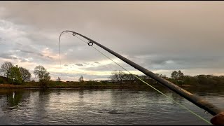 Tidal Fly Fishing For Sea Trout  West Of Scotland [upl. by Lamberto644]