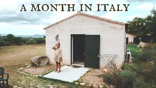 What I think about the USA after a month in Italy 🇮🇹 [upl. by Noned]