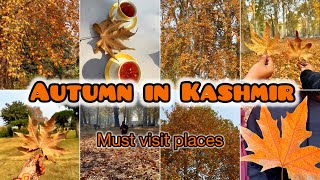 Autumn in Kashmir  must visit places to witness Autumn in Kashmir  chinar trees  TanyaKhanijow [upl. by Nyrmac]