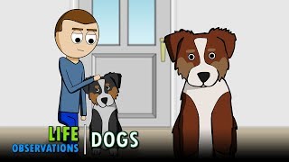 Life Observations Dogs [upl. by Astrid243]