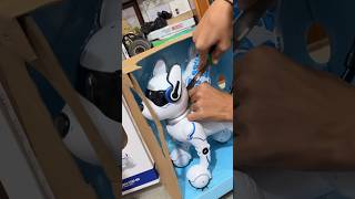 Kunali ka New robot dog unboxing 🤣 shorts souravjoshivlogs minivlog [upl. by Cailly555]