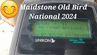 Last Old Bird National from Maidstone Lakes [upl. by Nylirahs]