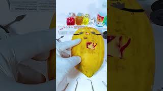 Worms in Papaya Need Emergency Surgery jidoodle fruitsurgery foodsurgery [upl. by Naejamron162]