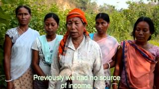 Soil To Silk a story of Empowerment of Women through Sericulture [upl. by Atronna]