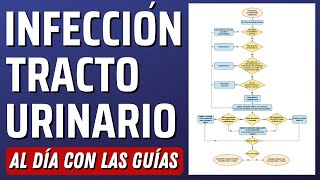 Infección de Vías Urinarias AlDíaConLasGuías [upl. by Henrion]