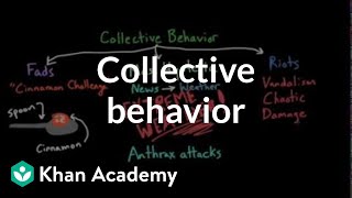 Aspects of Collective Behavior Fads Mass Hysteria and Riots  Behavior  MCAT  Khan Academy [upl. by Doug]