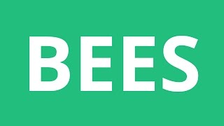 How To Pronounce Bees  Pronunciation Academy [upl. by Beker]