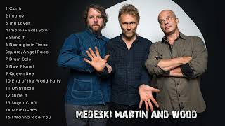 The Very Best of Medeski Martin and Wood Full Album [upl. by Adlemy773]