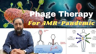 Phage Therapy for AMR Pandemic [upl. by Renwick943]