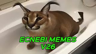 ECNEBI MEMES V26 [upl. by Maon]