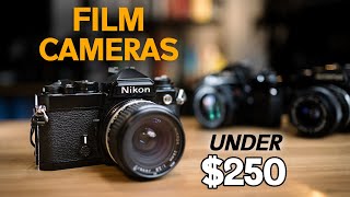 Best Value 35mm film SLR cameras [upl. by Anorahs986]